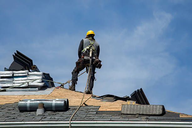 Professional Roof Inspection technician working in Weston, MO